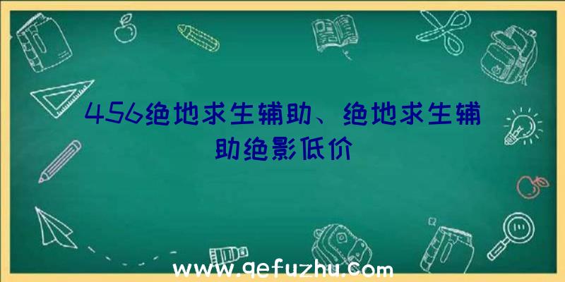 456绝地求生辅助、绝地求生辅助绝影低价