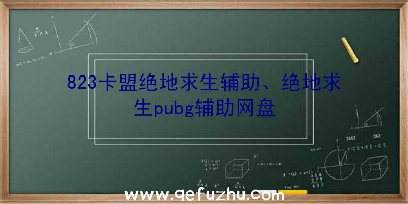 823卡盟绝地求生辅助、绝地求生pubg辅助网盘