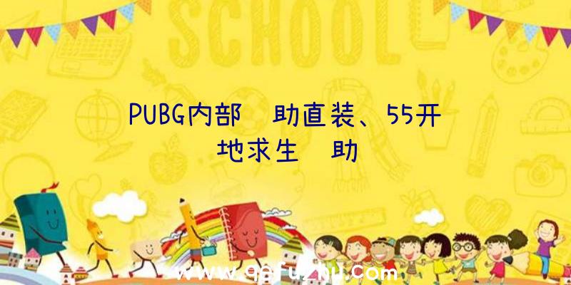 PUBG内部辅助直装、55开绝地求生辅助