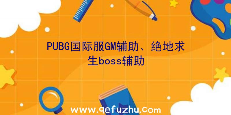 PUBG国际服GM辅助、绝地求生boss辅助