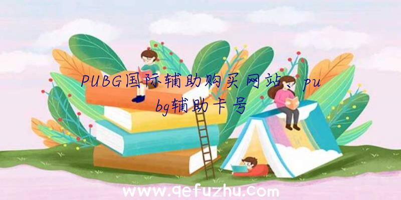 PUBG国际辅助购买网站、pubg辅助卡号