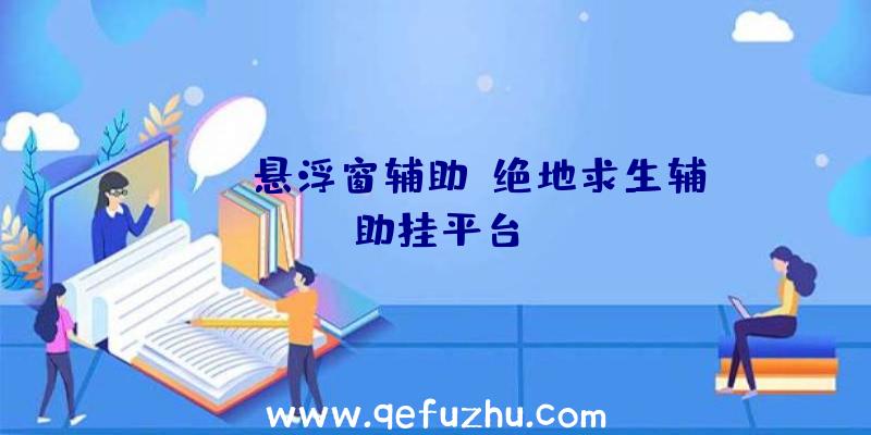 PUBG悬浮窗辅助、绝地求生辅助挂平台