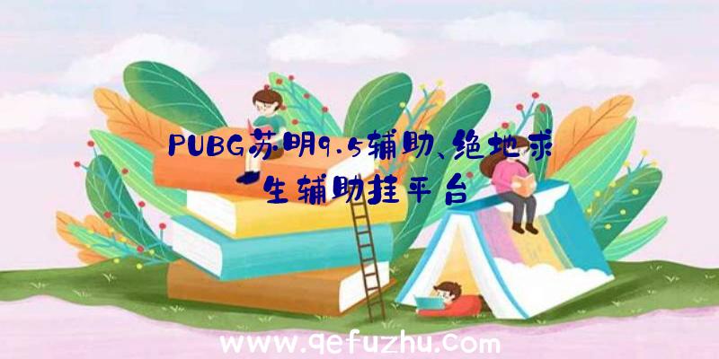 PUBG苏明9.5辅助、绝地求生辅助挂平台