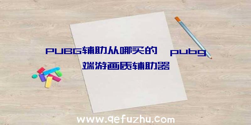 PUBG辅助从哪买的、pubg端游画质辅助器