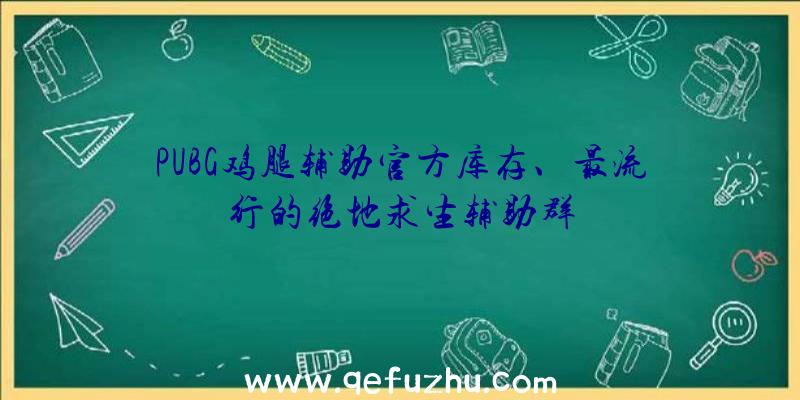 PUBG鸡腿辅助官方库存、最流行的绝地求生辅助群