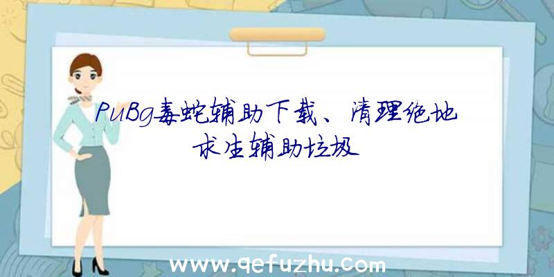 PuBg毒蛇辅助下载、清理绝地求生辅助垃圾