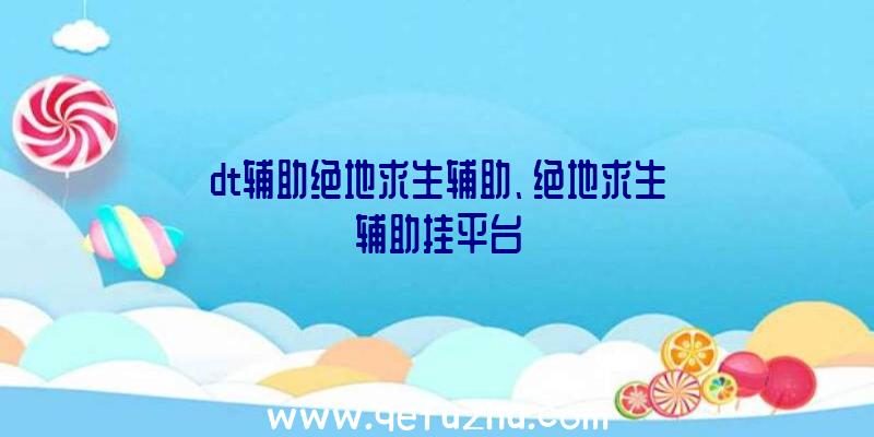 dt辅助绝地求生辅助、绝地求生辅助挂平台