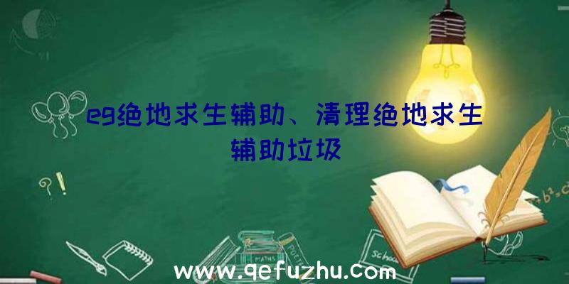 eg绝地求生辅助、清理绝地求生辅助垃圾