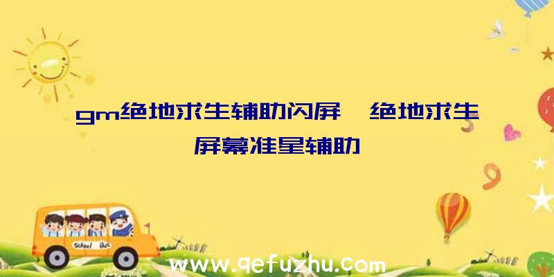 gm绝地求生辅助闪屏、绝地求生屏幕准星辅助