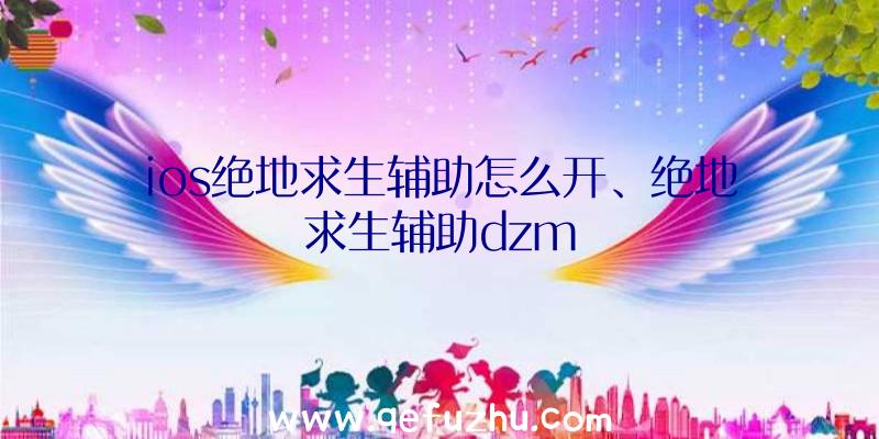 ios绝地求生辅助怎么开、绝地求生辅助dzm