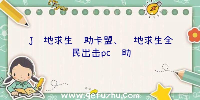 j绝地求生辅助卡盟、绝地求生全民出击pc辅助