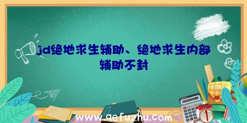 jd绝地求生辅助、绝地求生内部辅助不封