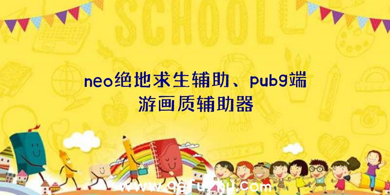 neo绝地求生辅助、pubg端游画质辅助器