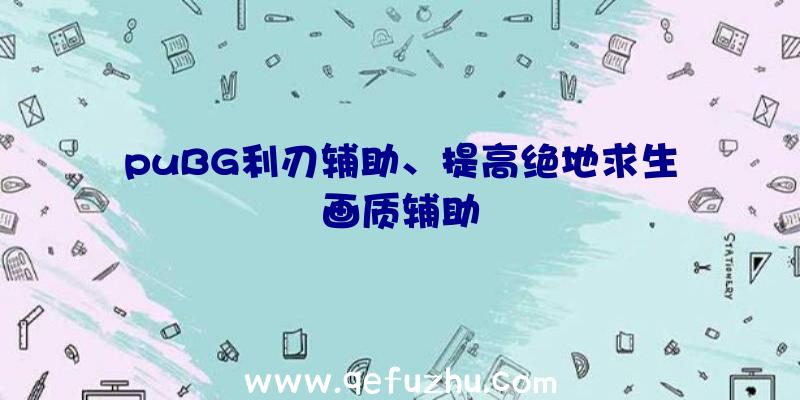 puBG利刃辅助、提高绝地求生画质辅助