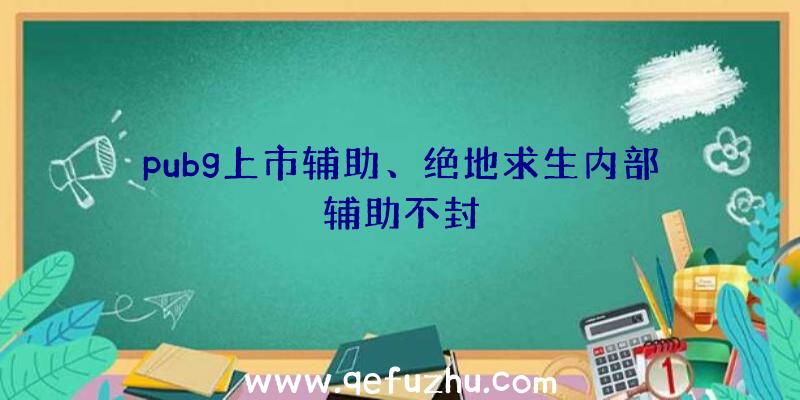 pubg上市辅助、绝地求生内部辅助不封