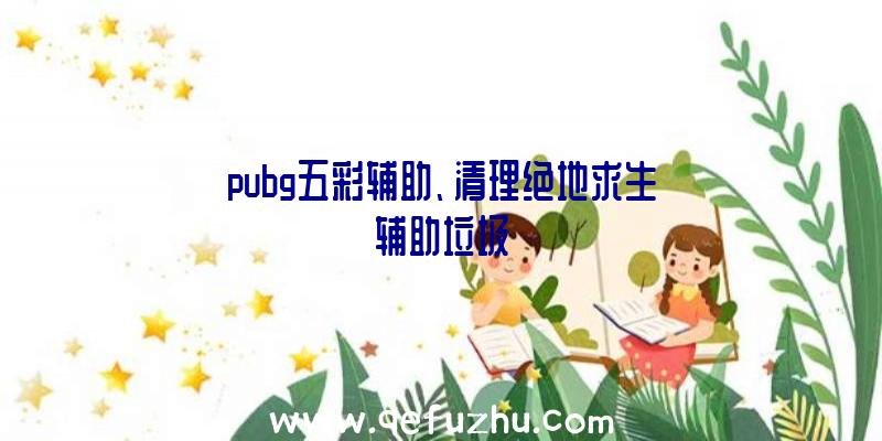 pubg五彩辅助、清理绝地求生辅助垃圾