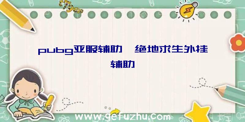 pubg亚服辅助、绝地求生外挂辅助