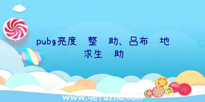 pubg亮度调整辅助、吕布绝地求生辅助