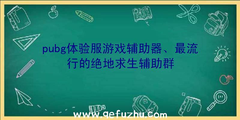 pubg体验服游戏辅助器、最流行的绝地求生辅助群