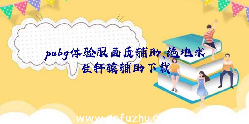 pubg体验服画质辅助、绝地求生轩辕辅助下载