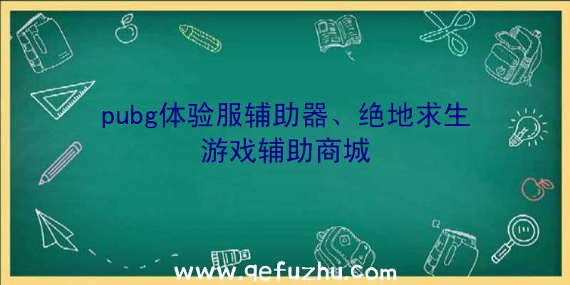 pubg体验服辅助器、绝地求生游戏辅助商城