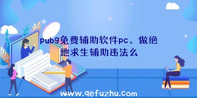 pubg免费辅助软件pc、做绝地求生辅助违法么