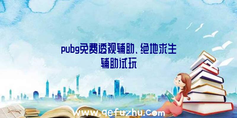 pubg免费透视辅助、绝地求生辅助试玩