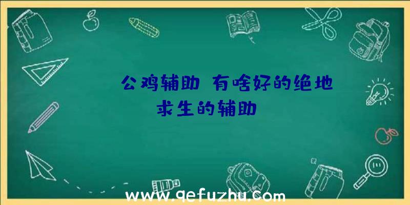 pubg公鸡辅助、有啥好的绝地求生的辅助