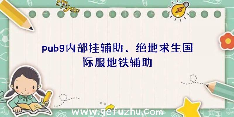 pubg内部挂辅助、绝地求生国际服地铁辅助