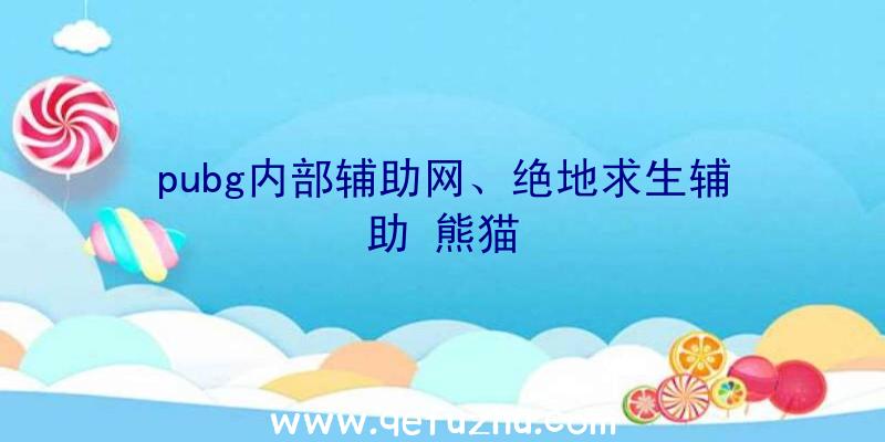 pubg内部辅助网、绝地求生辅助