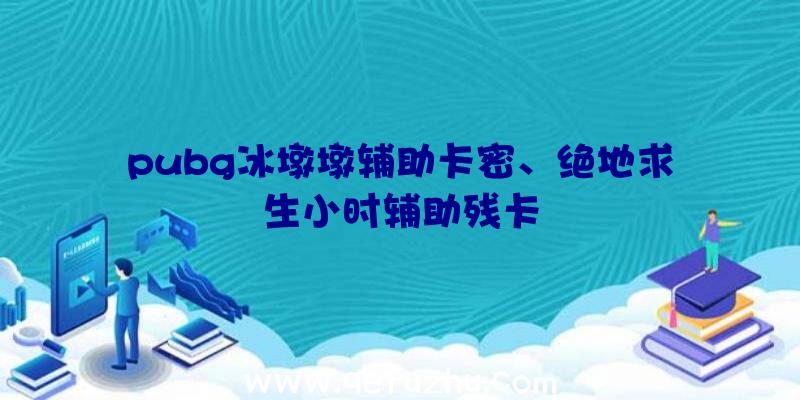 pubg冰墩墩辅助卡密、绝地求生小时辅助残卡