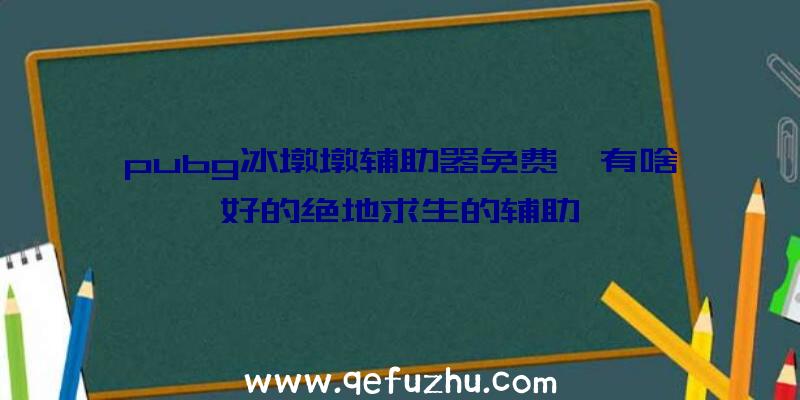 pubg冰墩墩辅助器免费、有啥好的绝地求生的辅助