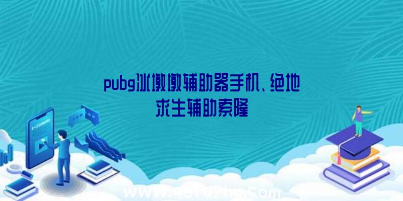 pubg冰墩墩辅助器手机、绝地求生辅助索隆