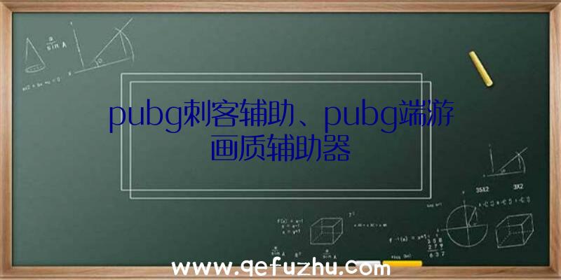 pubg刺客辅助、pubg端游画质辅助器