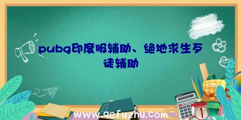 pubg印度服辅助、绝地求生歹徒辅助