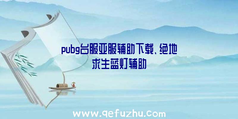 pubg台服亚服辅助下载、绝地求生蓝灯辅助