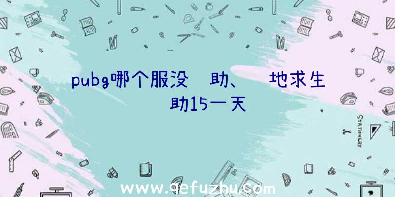 pubg哪个服没辅助、绝地求生辅助15一天