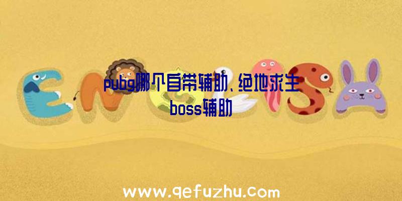 pubg哪个自带辅助、绝地求生boss辅助