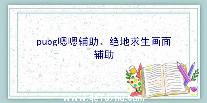 pubg嗯嗯辅助、绝地求生画面辅助