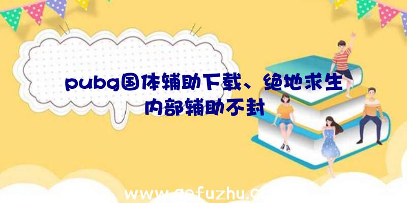 pubg国体辅助下载、绝地求生内部辅助不封