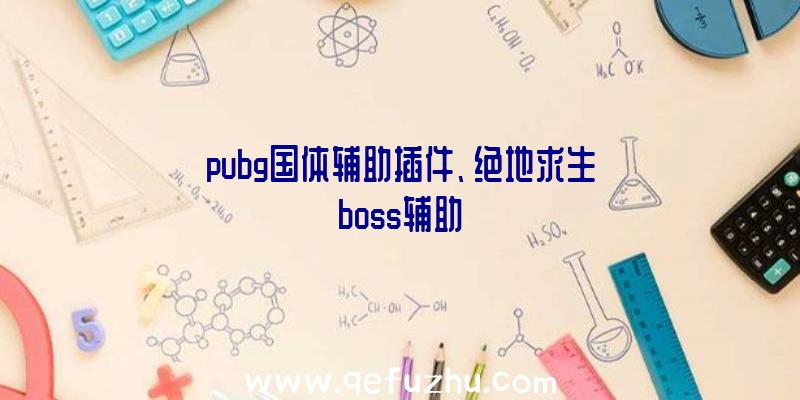 pubg国体辅助插件、绝地求生boss辅助