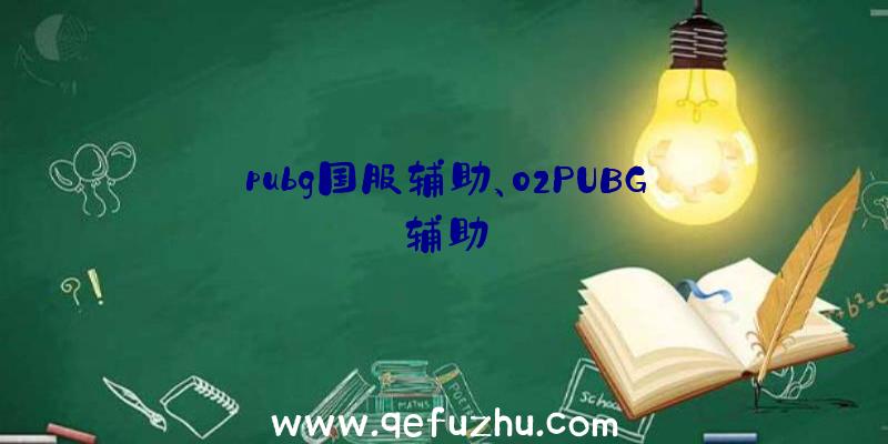 pubg国服辅助、02PUBG辅助