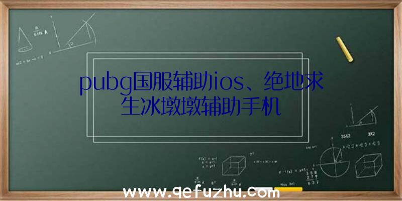 pubg国服辅助ios、绝地求生冰墩墩辅助手机