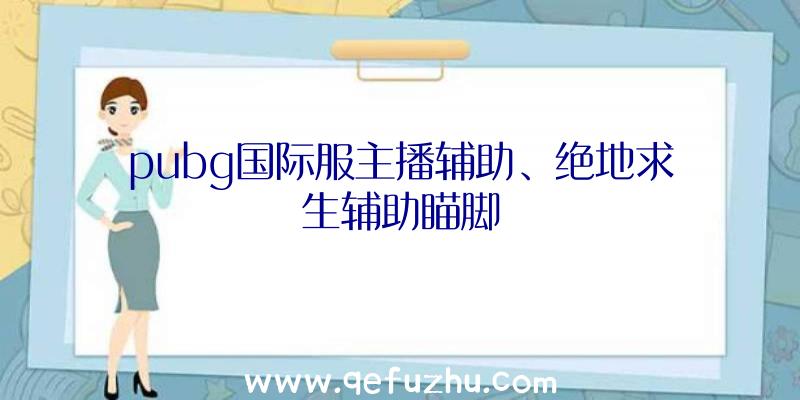 pubg国际服主播辅助、绝地求生辅助瞄脚