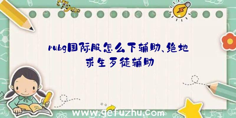 pubg国际服怎么下辅助、绝地求生歹徒辅助