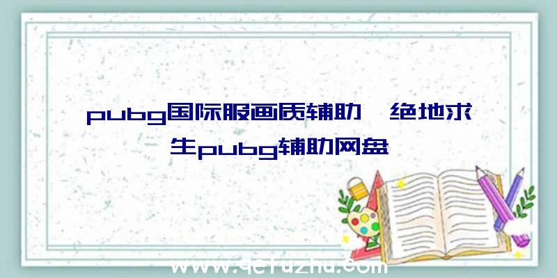 pubg国际服画质辅助、绝地求生pubg辅助网盘