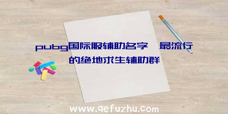 pubg国际服辅助名字、最流行的绝地求生辅助群