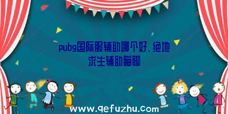 pubg国际服辅助哪个好、绝地求生辅助瞄脚