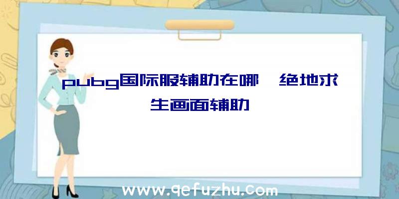 pubg国际服辅助在哪、绝地求生画面辅助