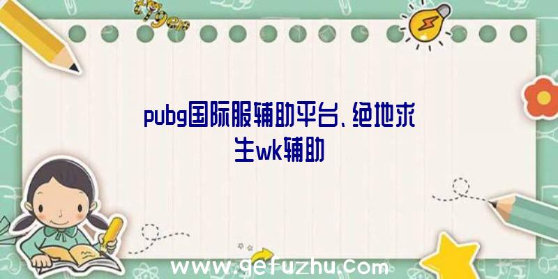 pubg国际服辅助平台、绝地求生wk辅助